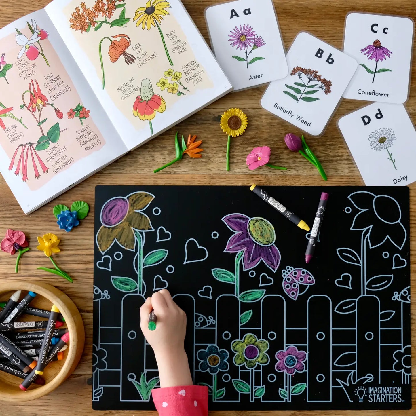 Princess and Garden Chalkboard Placemat Set
