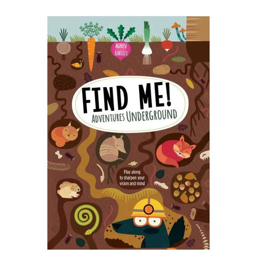 Wellspring - Find Me! Underground Book - Joy Learning Company