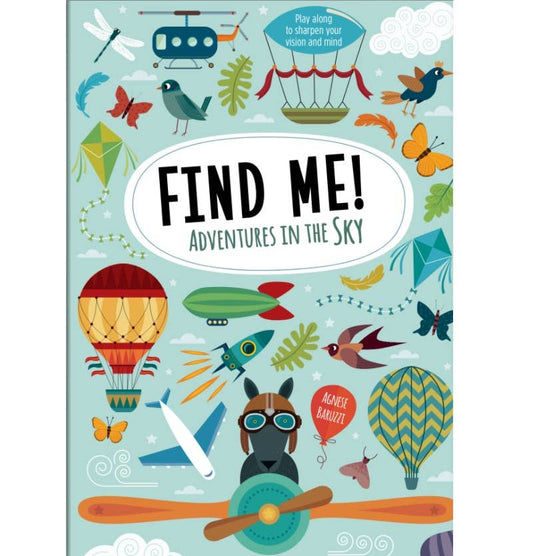 Wellspring - Find Me! Sky Book - Joy Learning Company