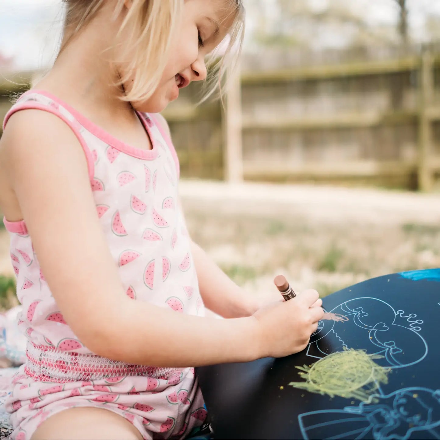 Princess and Garden Chalkboard Placemat Set