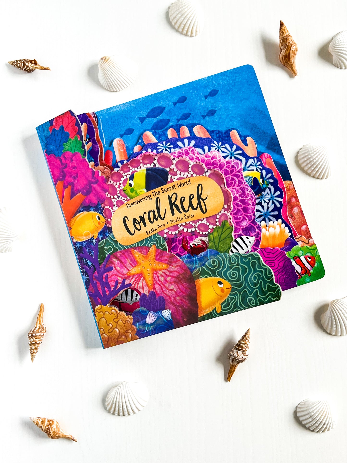 Coral Reef Layered Board Book