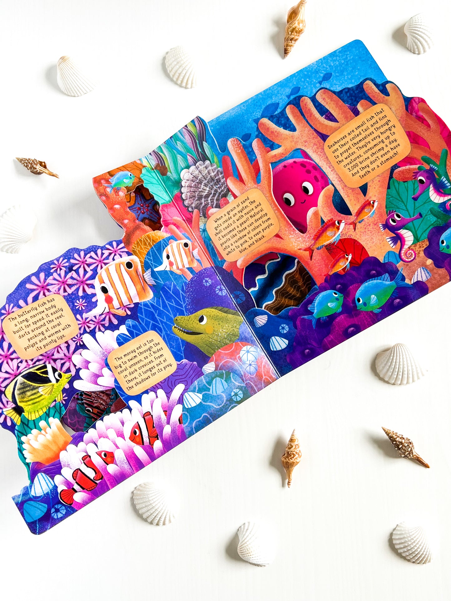 Coral Reef Layered Board Book