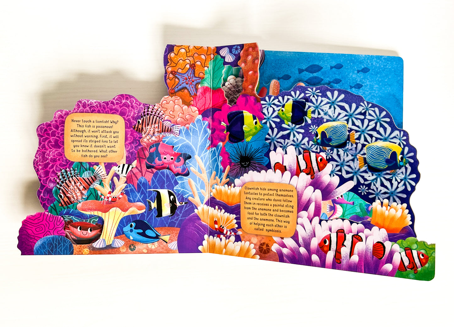 Coral Reef Layered Board Book